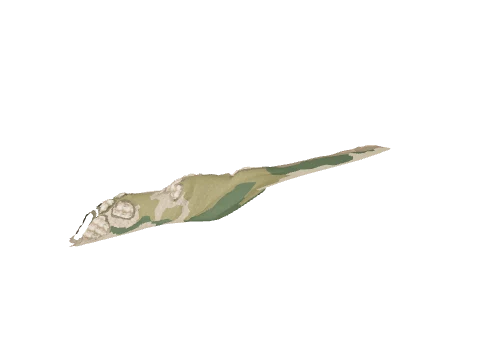 ch1_10_land_01_lod, a GTA V map model