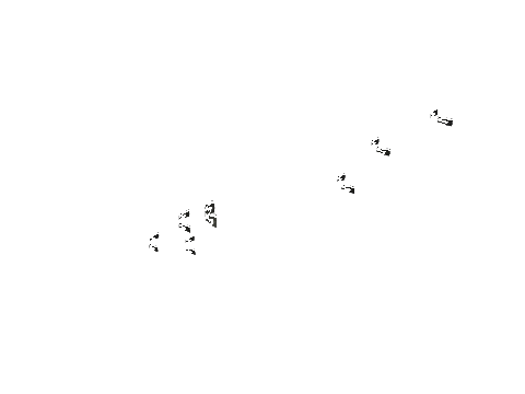 ch2_01b_props_cmbo0109_slod, a GTA V map model