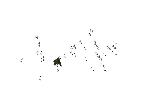 ch2_01b_props_cmbo125_slod, a GTA V map model