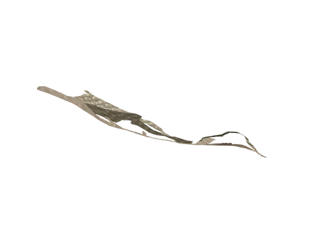 ch2_02b_decs12, a GTA V map model
