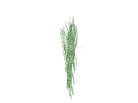 ch2_08_bamboo03, a GTA V map model
