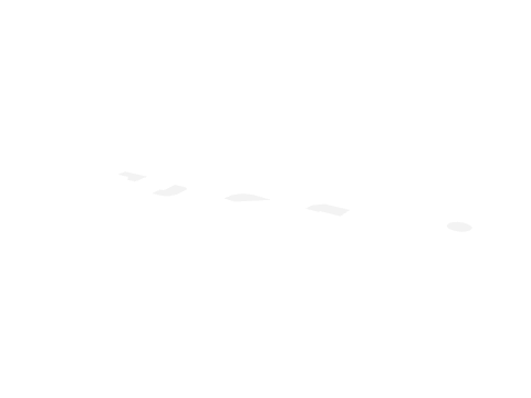ch2_10_poolwtr02, a GTA V map model