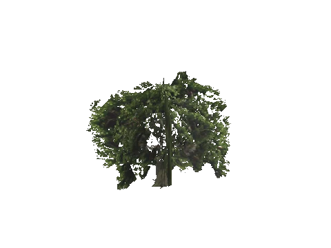 ch2_12b_treeproxy, a GTA V map model