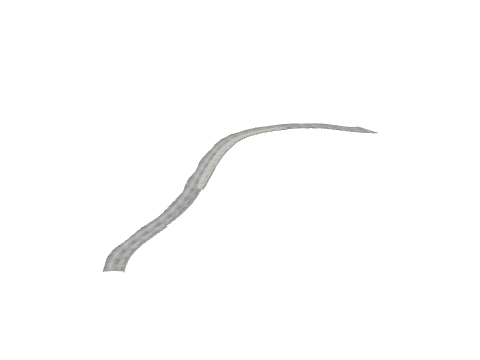 ch2_roadsa_rd_31, a GTA V map model