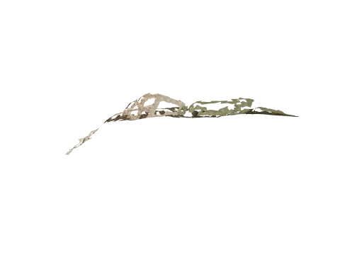 ch3_01_d54, a GTA V map model