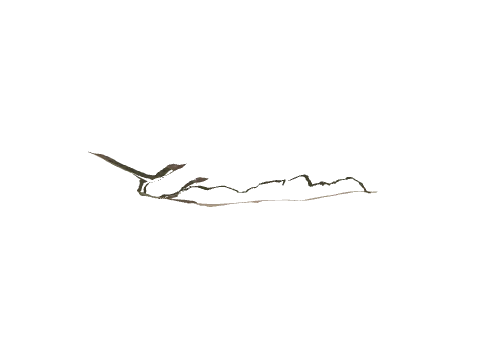 ch3_06_dec50, a GTA V map model