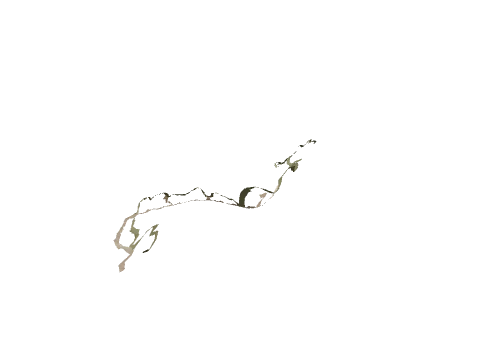 ch3_07_decals23, a GTA V map model