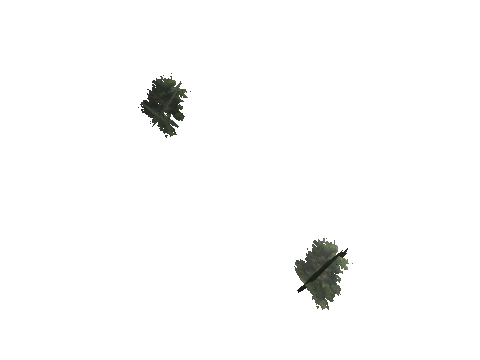ch3_09_props_veg20_13_lod, a GTA V map model