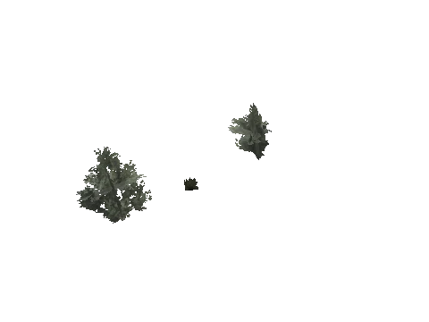 ch3_09_props_veg25_05_lod, a GTA V map model