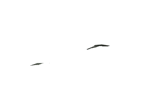 ch3_09_props_veg26_19_lod, a GTA V map model