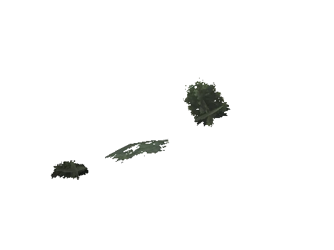 ch3_09_props_veg30_05_lod, a GTA V map model
