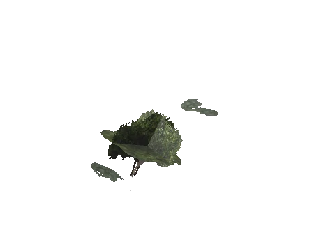 ch3_09_props_veg33_24_lod, a GTA V map model