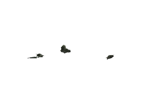 ch3_09_props_veg34_08_lod, a GTA V map model