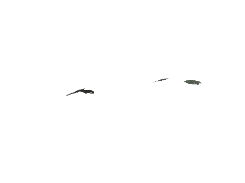 ch3_09_props_veg34_28_lod, a GTA V map model
