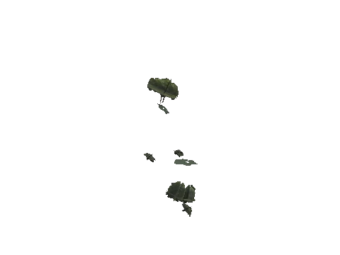 ch3_09_props_veg36_21_lod, a GTA V map model