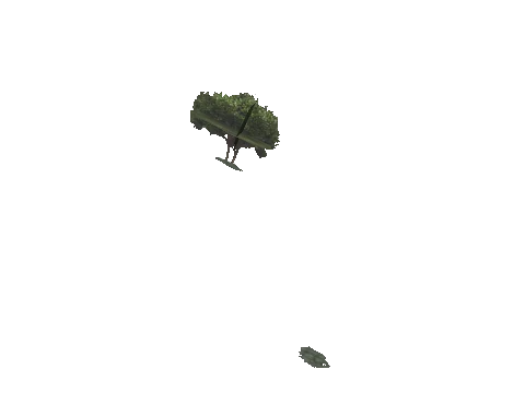 ch3_09_props_veg36_24_lod, a GTA V map model