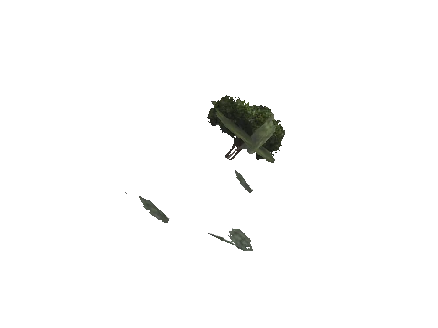ch3_09_props_veg36_27_lod, a GTA V map model