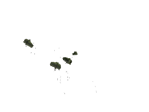 ch3_09_props_veg36_slod, a GTA V map model