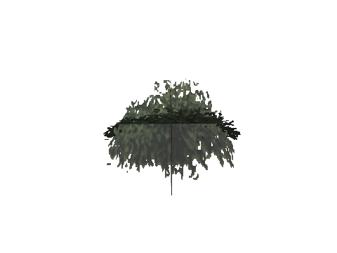 ch3_10_props_veg219_12_lod, a GTA V map model