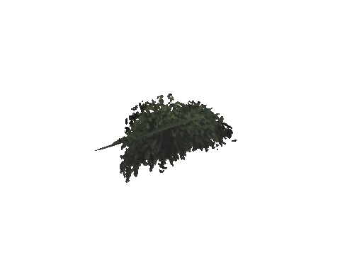 ch3_10_props_veg221_13_lod, a GTA V map model