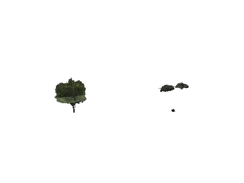 ch3_10_props_veg223_08_lod, a GTA V map model
