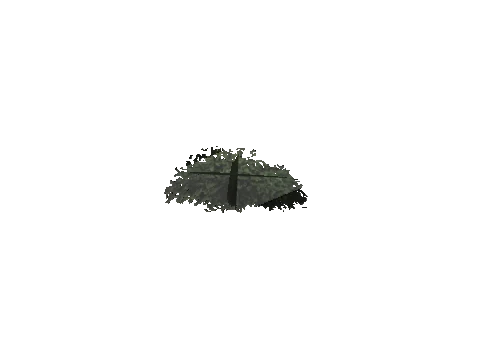 ch3_10_props_veg254_11_lod, a GTA V map model