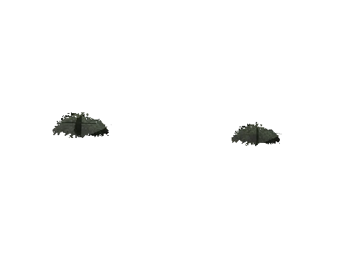 ch3_10_props_veg254_24_lod, a GTA V map model