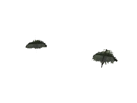 ch3_10_props_veg254_25_lod, a GTA V map model
