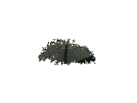ch3_10_props_veg254_26_lod, a GTA V map model