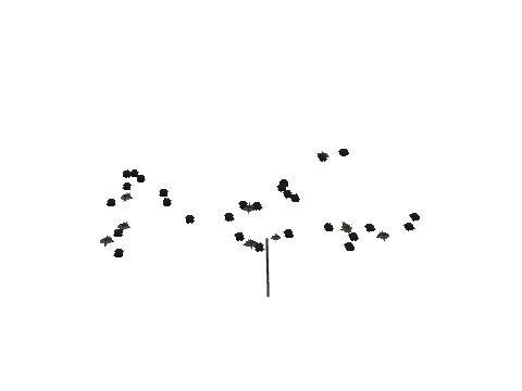 ch3_10_props_veg256_04_lod, a GTA V map model