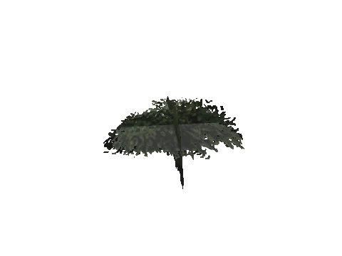 ch3_10_props_veg262_08_lod, a GTA V map model