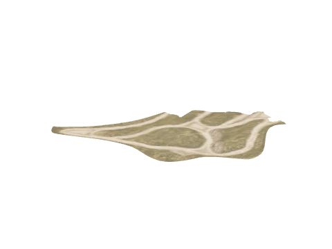 ch3_11_ground_01b_slod, a GTA V map model