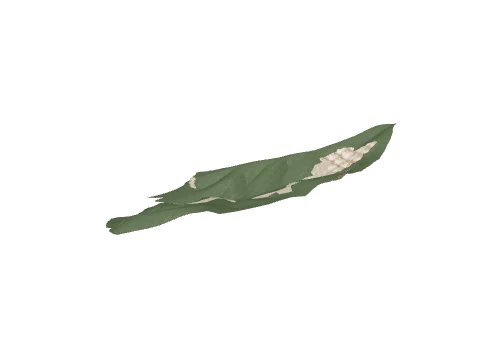 ch3_13_land_m_02, a GTA V map model