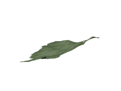 ch3_13_land_m_05, a GTA V map model