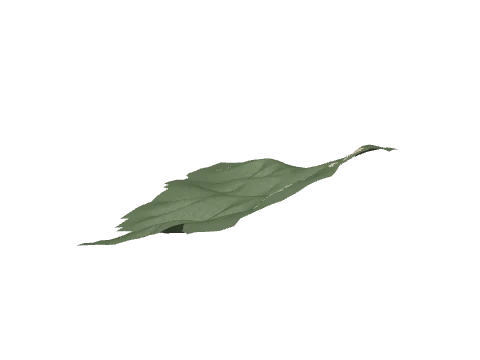 ch3_13_land_m_05_lod, a GTA V map model