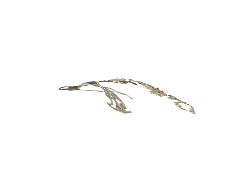 ch3_14_landm_05_decal, a GTA V map model