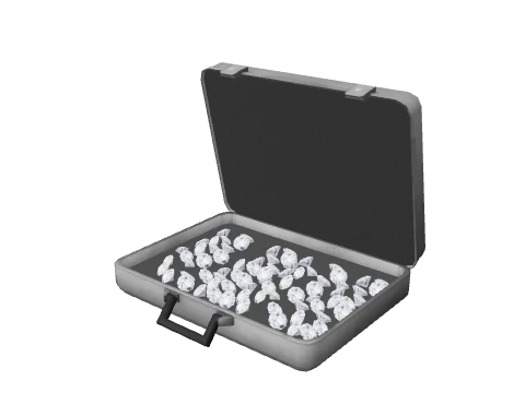 ch_prop_ch_security_case_01a