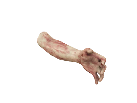 ch_prop_collectibles_limb_01a