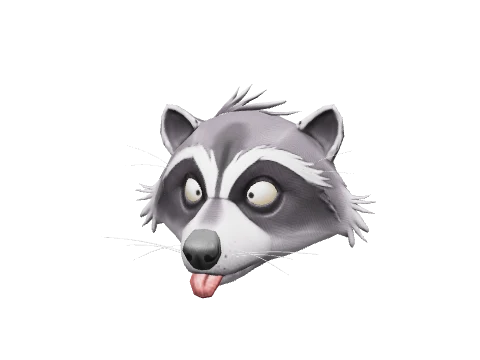 Gray Racoon