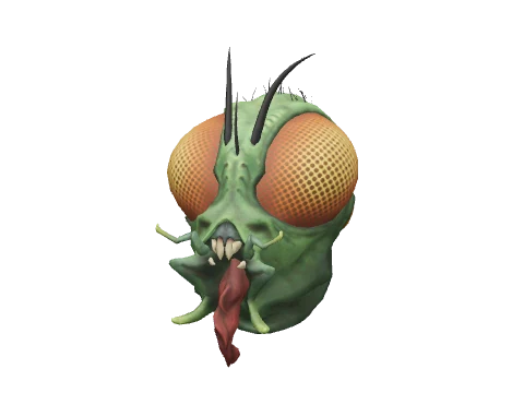 Green Toxic Insect