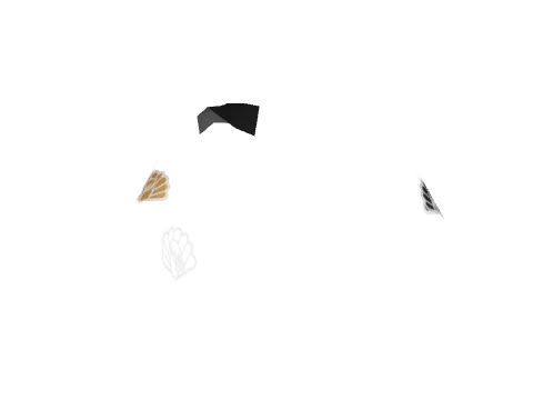 component 10 #121