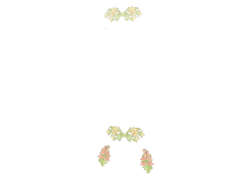 component 10 #216