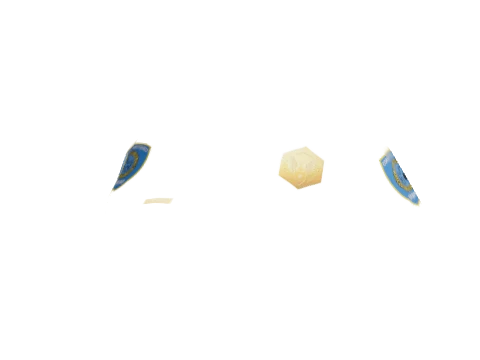 component 10 #81