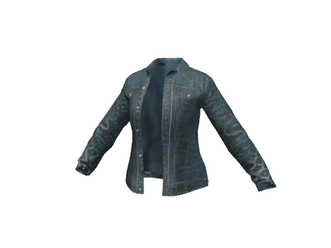 Vintage Denim Biker