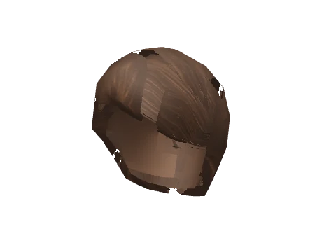 Neat Bun