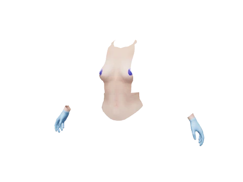 Blue Surgical Gloves