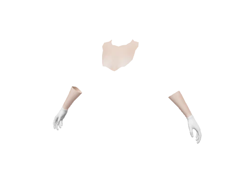 White Cotton Gloves