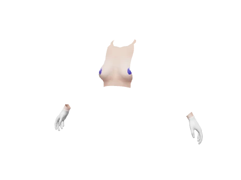 White Cotton Gloves