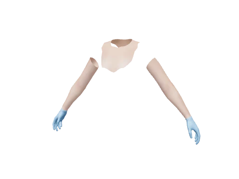 Blue Surgical Gloves