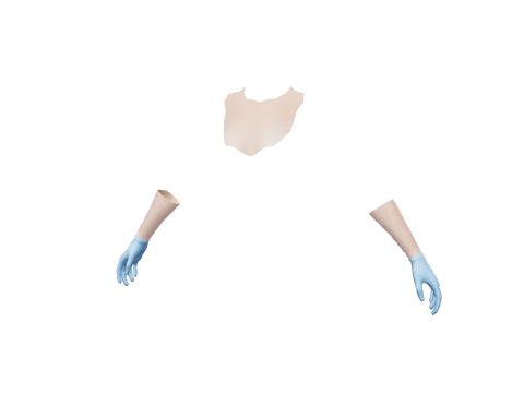 Blue Surgical Gloves